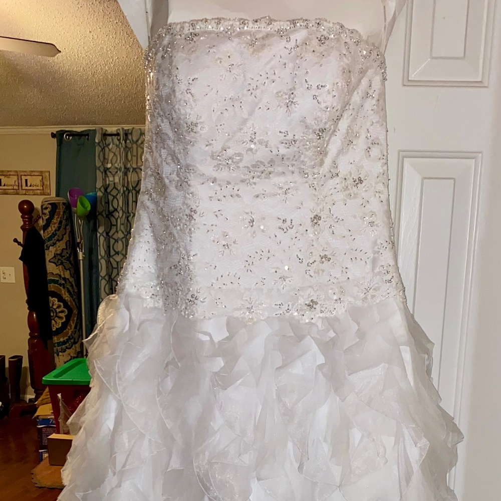Monique Luo Wedding Dress (David’s Bridal)